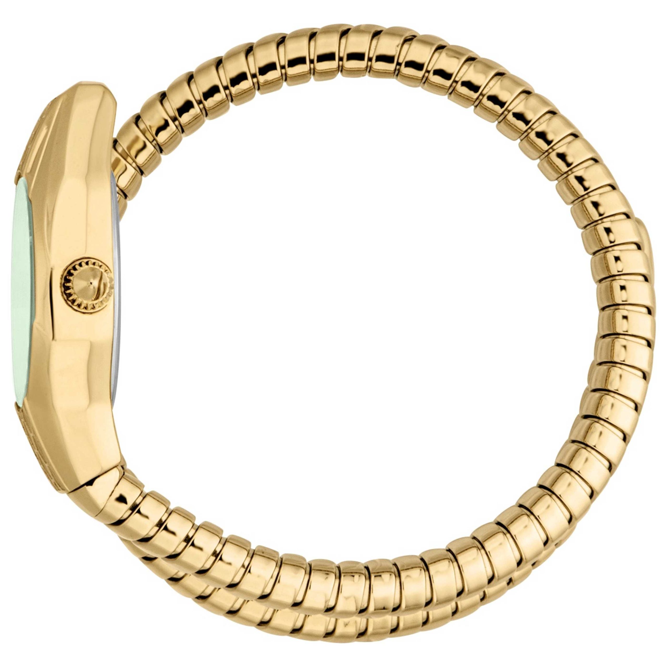 Just Cavalli Snake Quartz Green Mother-of-Pearl Dial Women's Watch Just Cavalli Snake Quartz Green Mother-of-Pearl Dial Women's Watch | Buy Online in South Africa | Noak